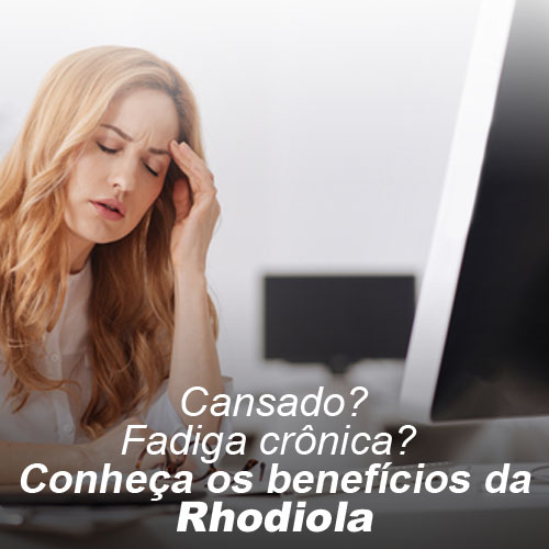 Cansado? Fadiga crônica? Conheça os benefícios da Rhodiola