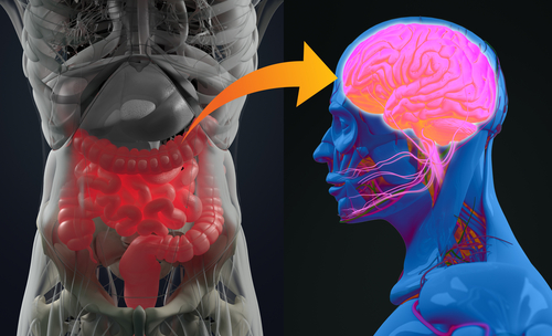 Efeito das alterações do microbioma na depressão, obesidade e outras condições